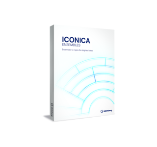 Steinberg Iconica Ensembles изображение/фото/картинка